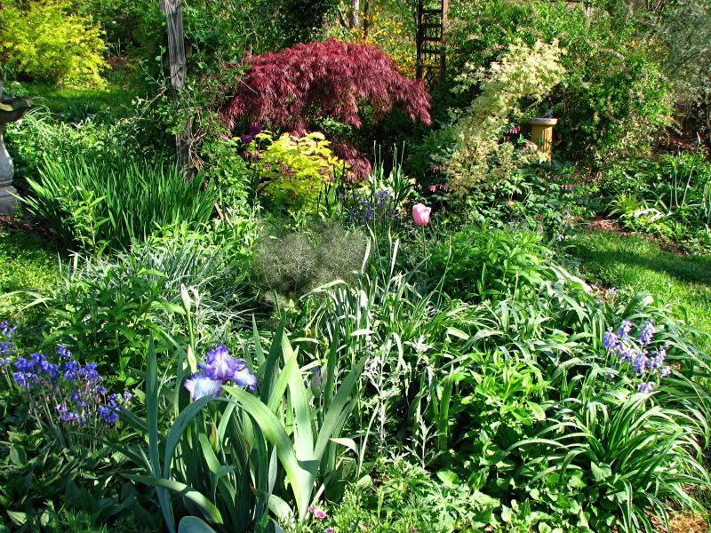 Yard Landscaping Pictures & Ideas: Cottage garden